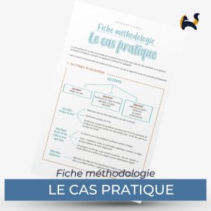 LE CAS PRATIQUE