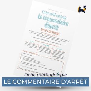 LE COMMENTAIRE D'ARRÊT