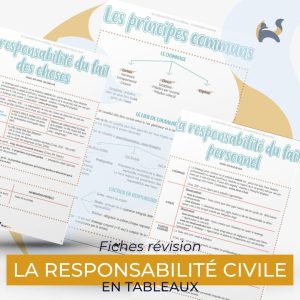 La responsabilité civile en tableaux