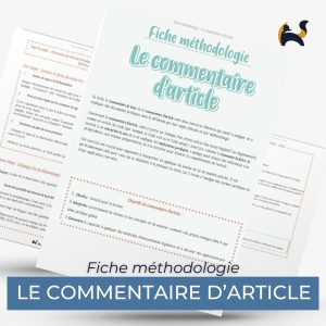 LE COMMENTAIRE D'ARTICLE
